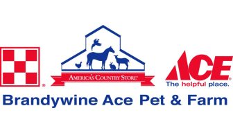 Brandywine Ace Business Card