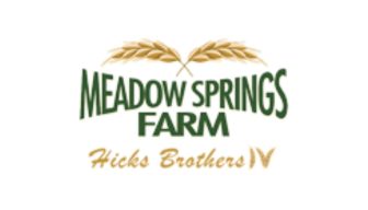 Meadow Springs Business Card