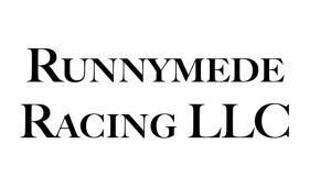 Runnymede Business Card