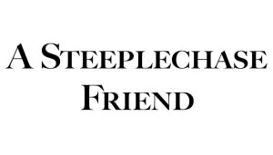 Steeplechase Friend Business Card